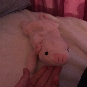 I am selling a pig